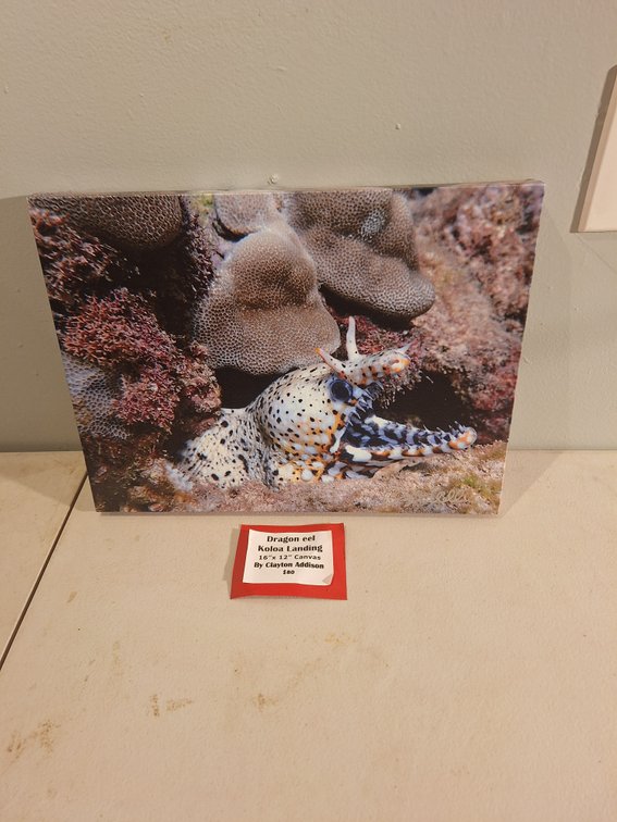 Canvas Photo Print by Local Artist