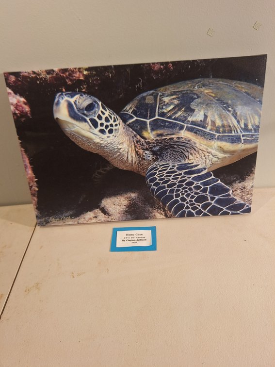 Canvas Photo Print by Local Artist