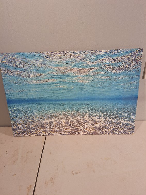 Metal Photo Print by Local Artist