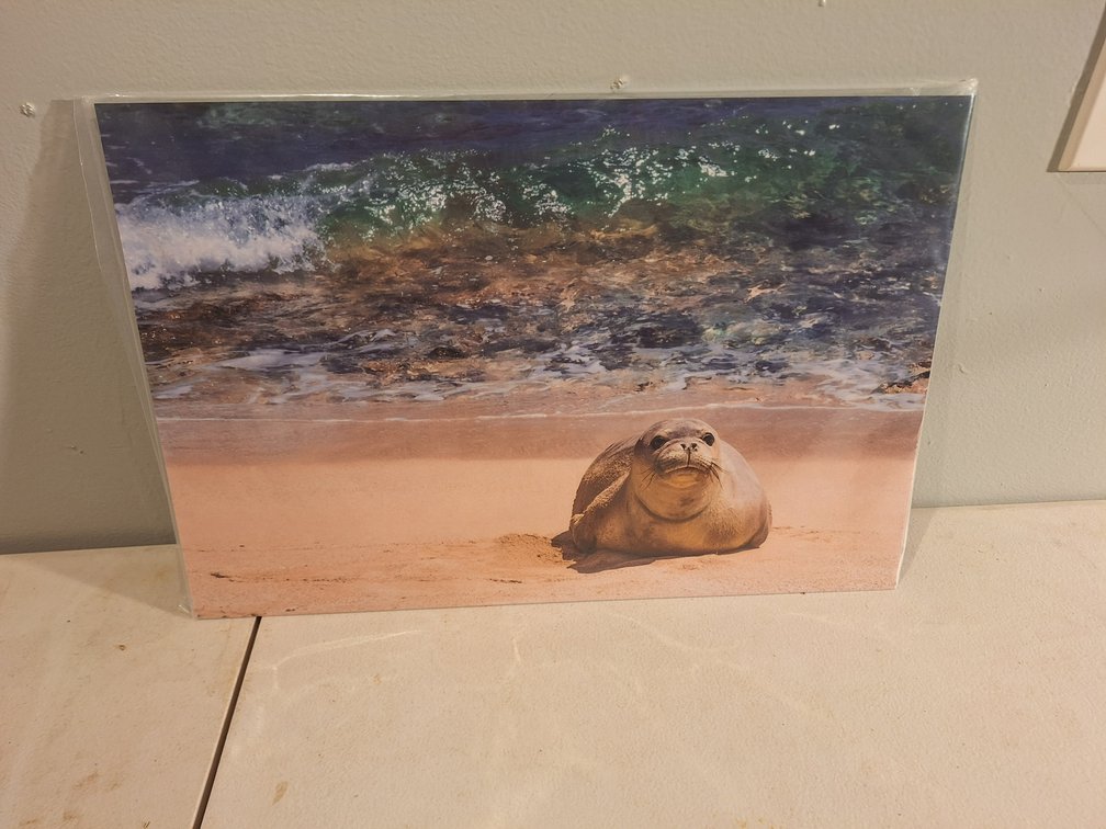 Metal Photo Print by Local Artist