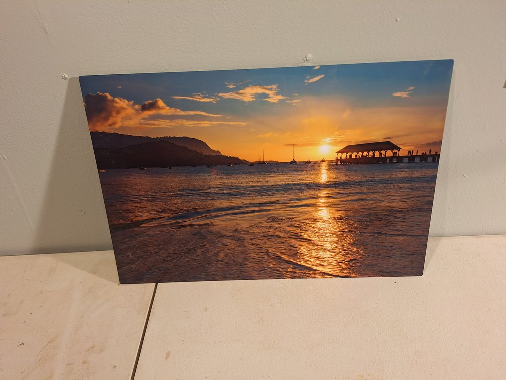 Metal Photo Print by Local Artist