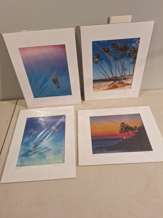 Matted Photo Prints by Local Artist (X's 4)