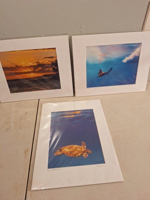 Matted Photo Prints by Local Artist (X's 3)