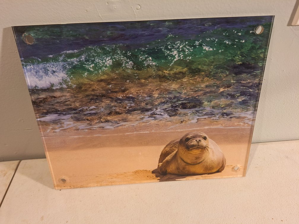Acrylic Photo Print by Local Artist