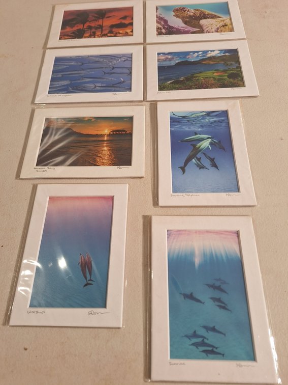 5" x 7" Matted Photo Prints by Local Artist (X's 8)