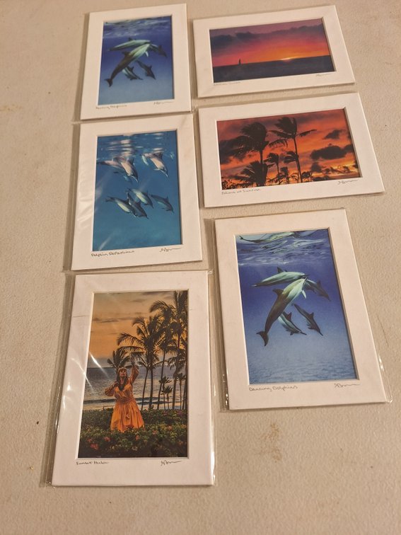 5" x 7" Matted Photo Prints by Local Artist (X's 6)