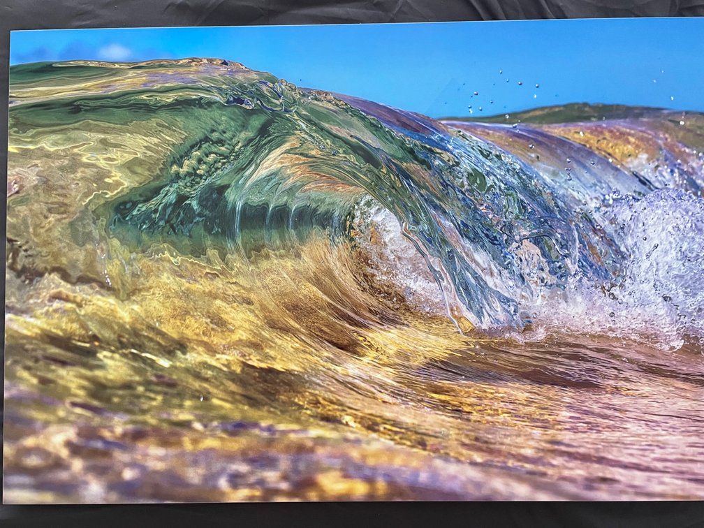 “Champagne Curl” Metal Print by Steve Munch