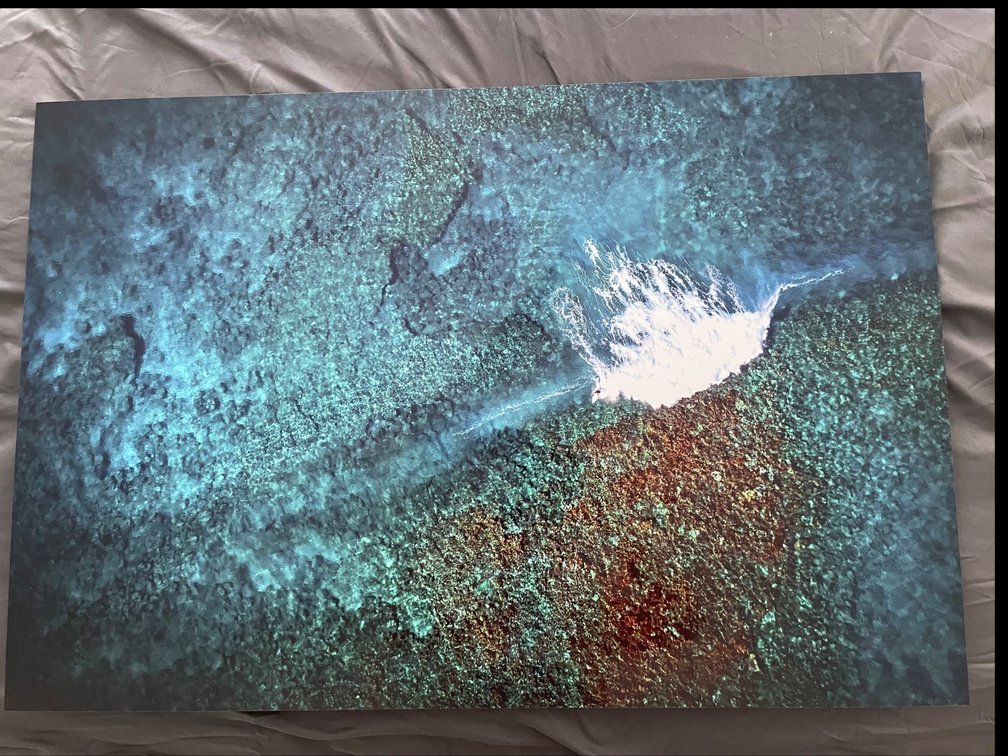 “Reef Walker” by Steve Munch