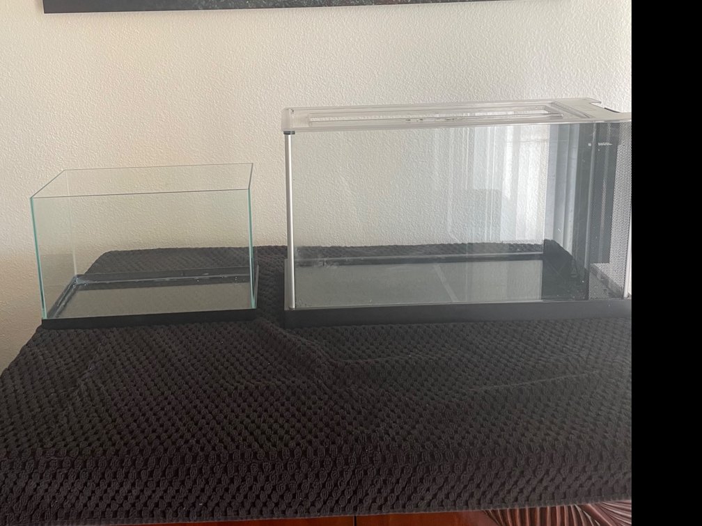 5 gallon and 2 gallon tropical fish tanks with supplies