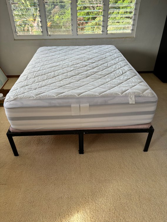 Beautyrest Platinum Firm Queen Memory Foam Mattress with Bed Frame Support and Mattress Pad