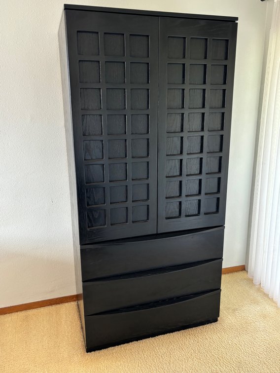 Terra Black Chest of Drawers with Storage 