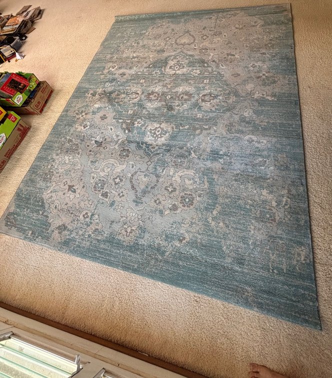 Large Area Rug by Victoria 