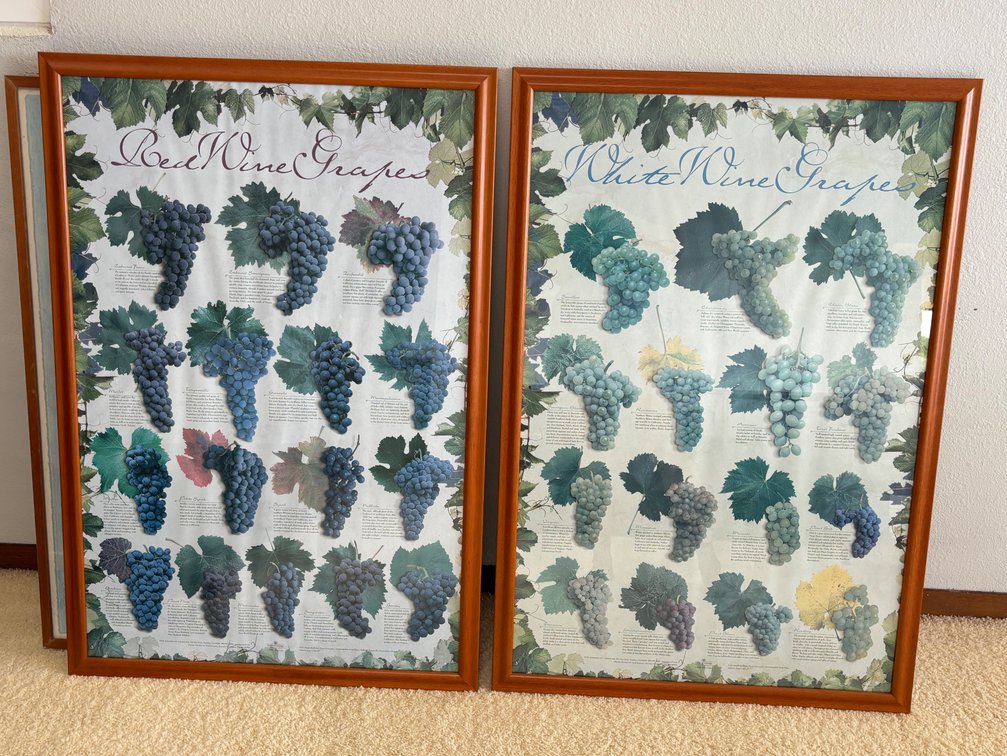 (X’s 2) Wine Variety Posters in Frames