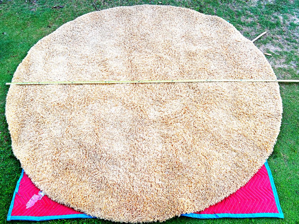 8’ Orange Shag Rug