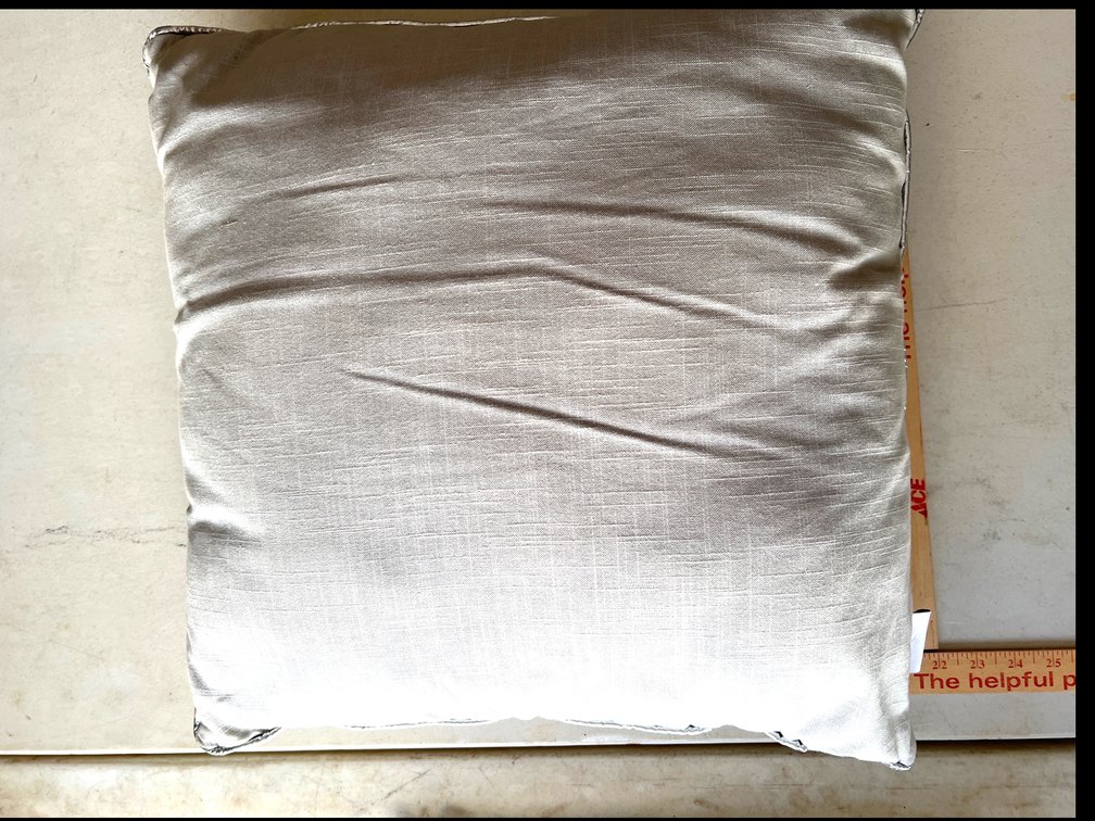 20” Throw Pillow