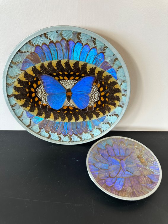 Vibrant Butterfly Wing Wall Décor