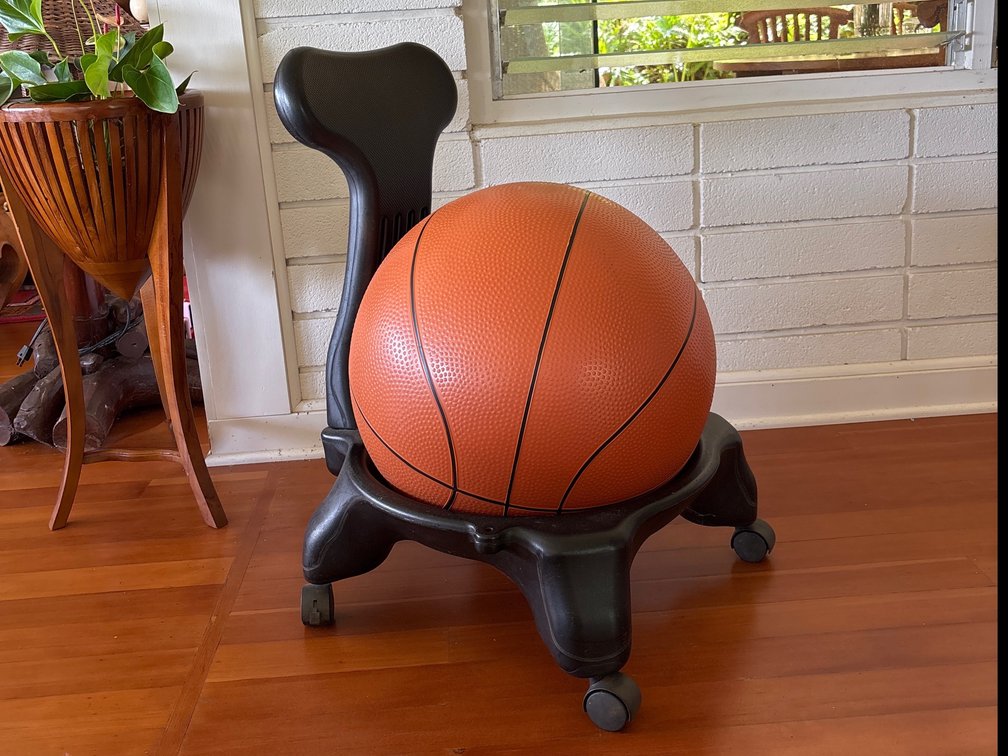Yoga Ball Chair