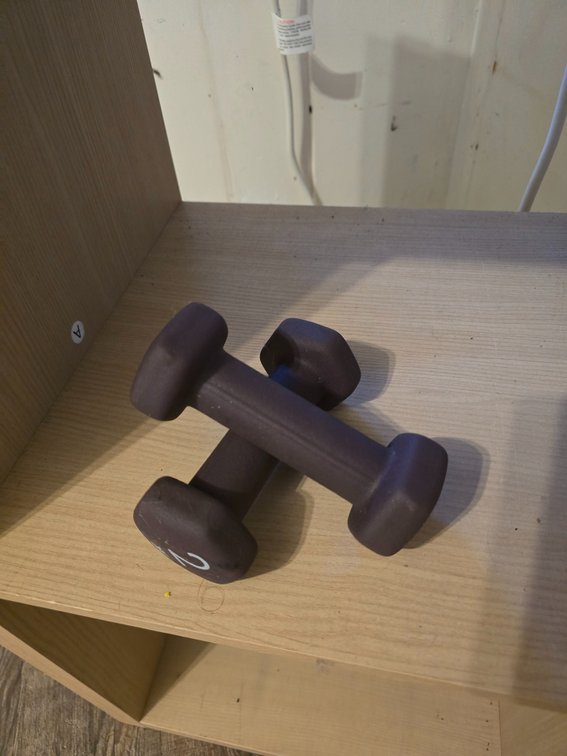 (X'5)Bell & Hand Weights