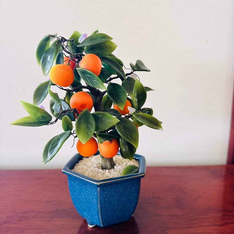 Jade Bonsai Plant 8” tall Made in Japan