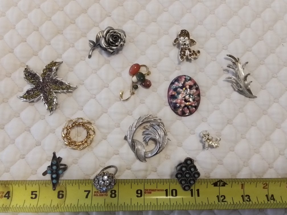 Vintage Pins and rings and earrings 