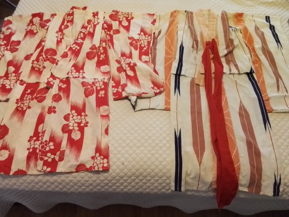Kimono girls or ladies short