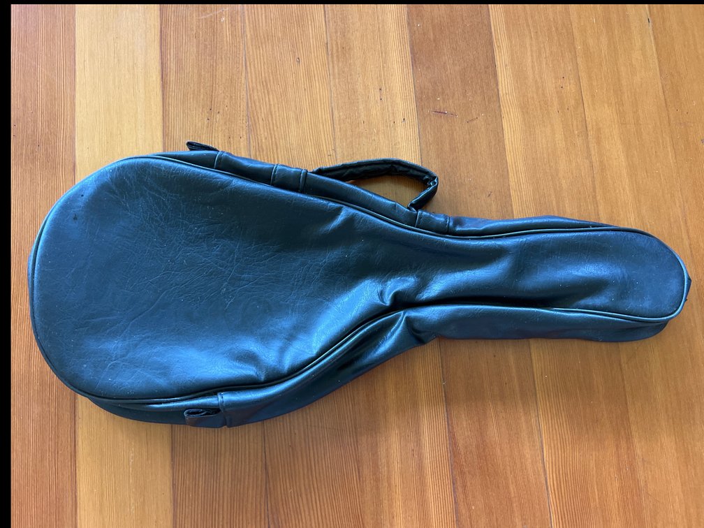 Ukelele soft case 