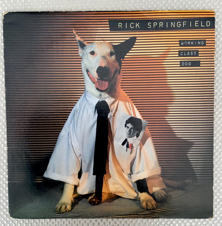 Rick Springfield Album