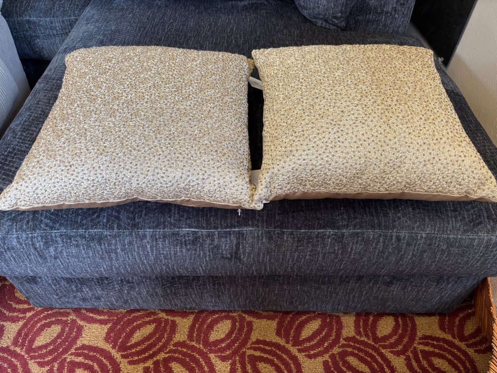 (X's 2) Sparkly Gold/Tan Glam Decorative Pillows from Macy's 