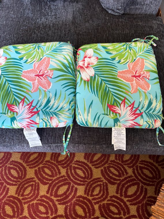 (X's 2)New Outdoor Seat Cushions by Mainstays 