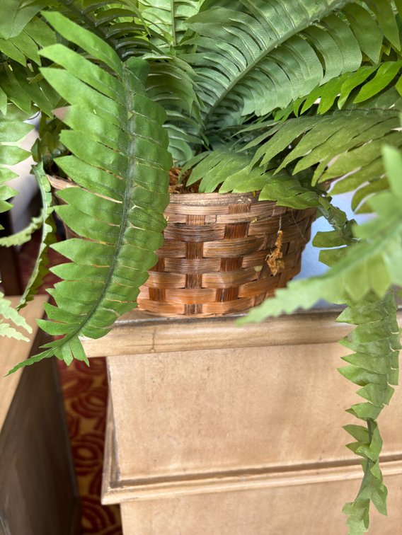New Overflowing Faux Fern in Bamboo Basket