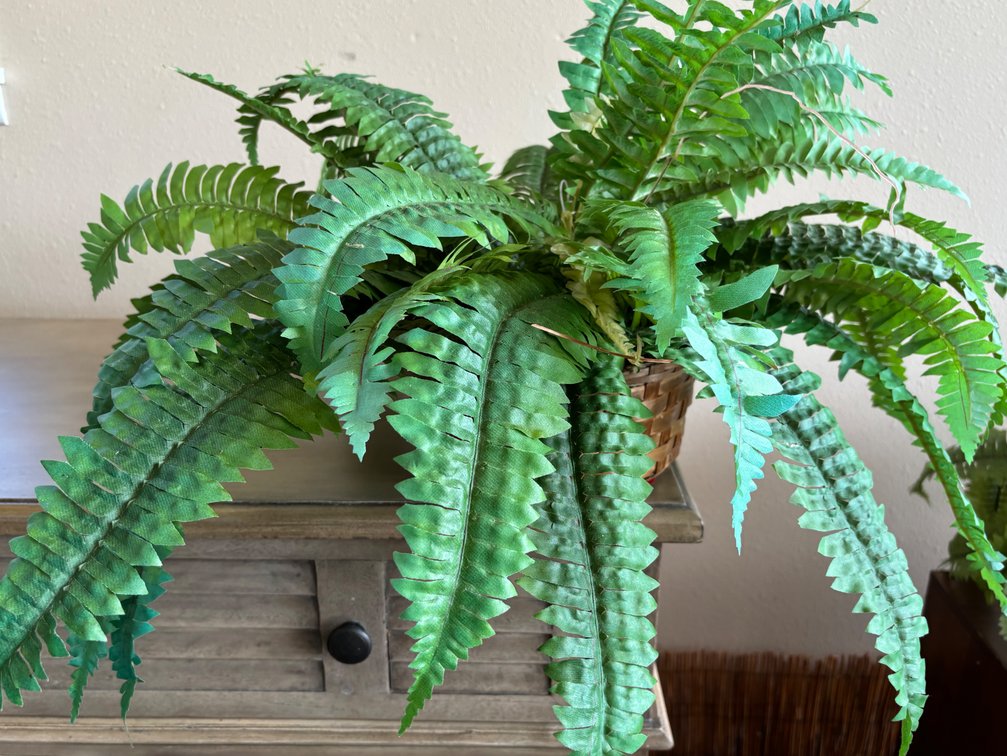 New Overflowing Faux Fern in Bamboo Basket