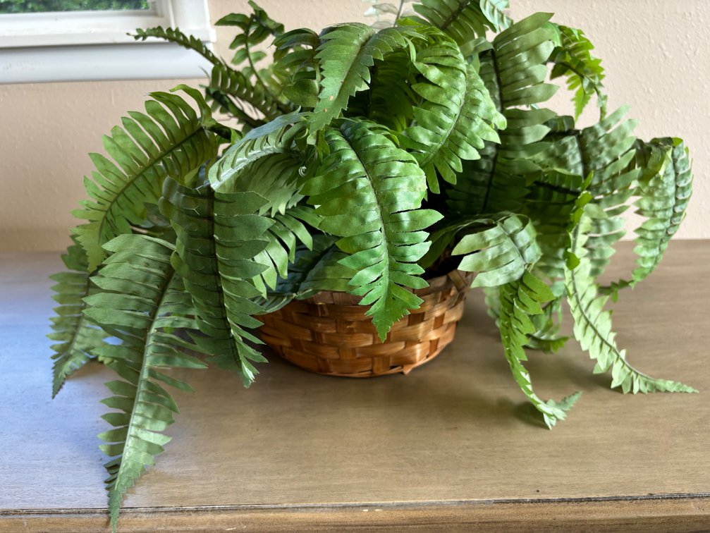New Overflowing Faux Fern in Bamboo Basket