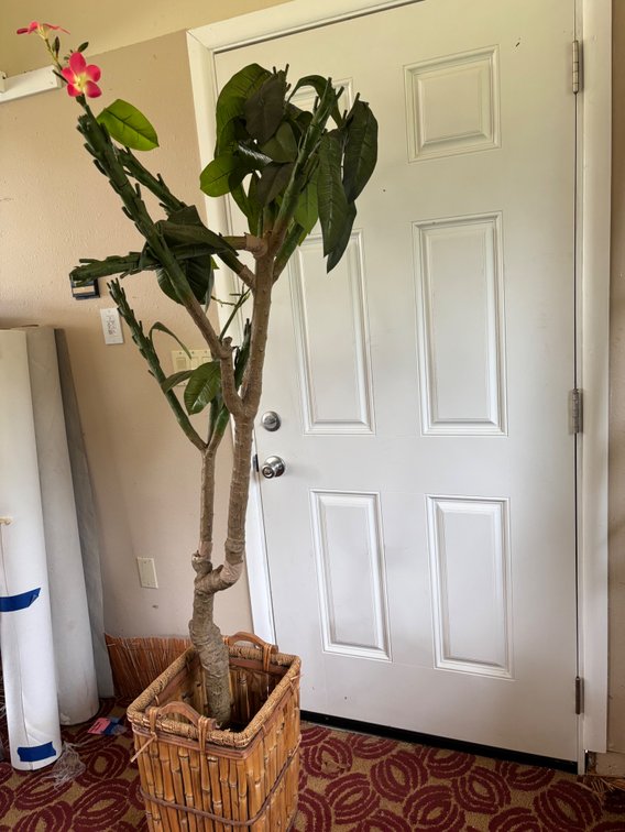 Faux Tall Tree With Basket
