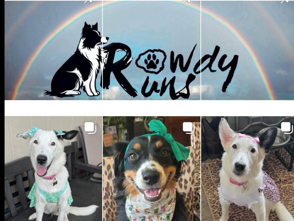 Rowdy Runs