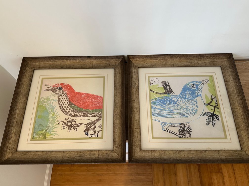 (X's 2) Framed Bird Prints – Red & Blue Birds