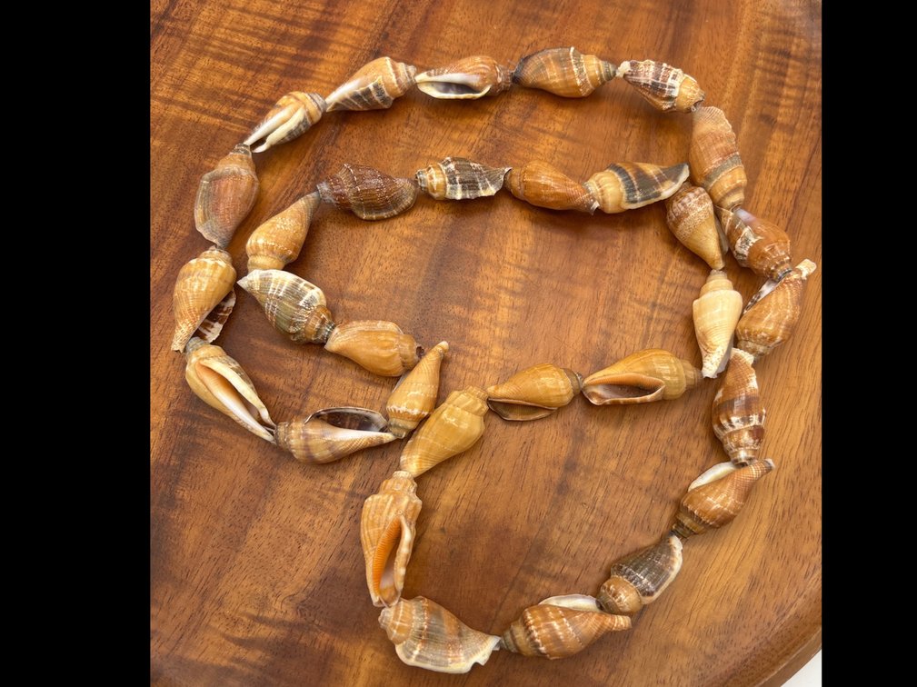 36” Shell Necklace 