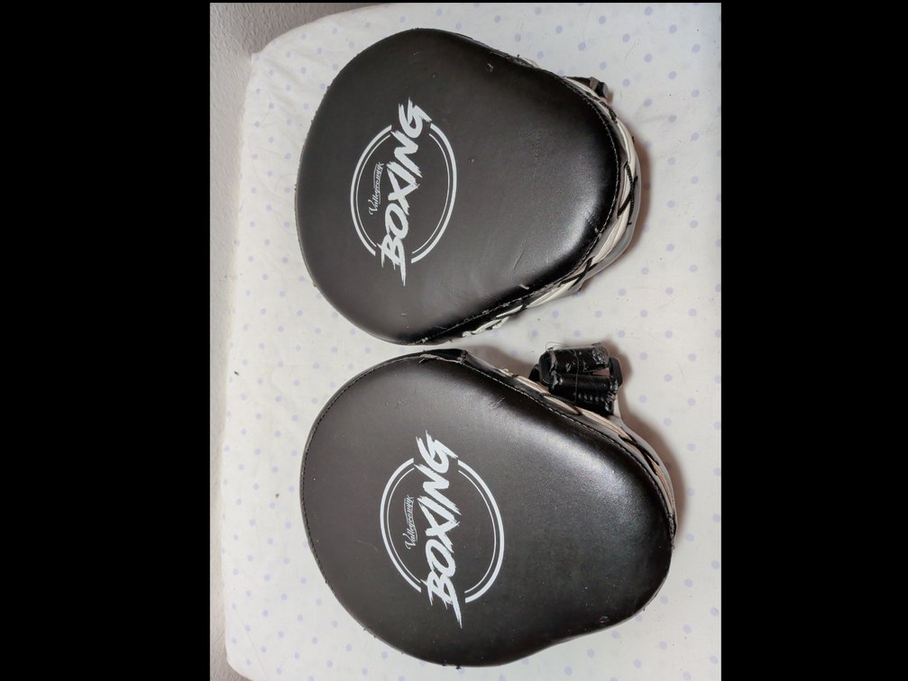 Punching mitts