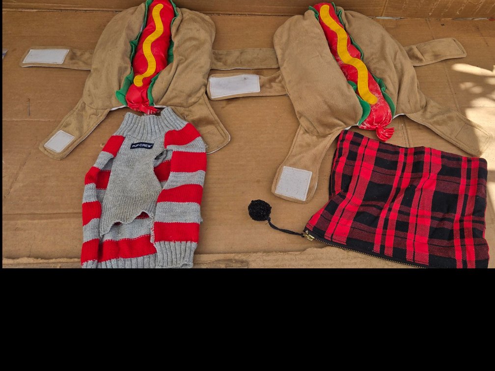 HOT DOG. Puppy dog outfits