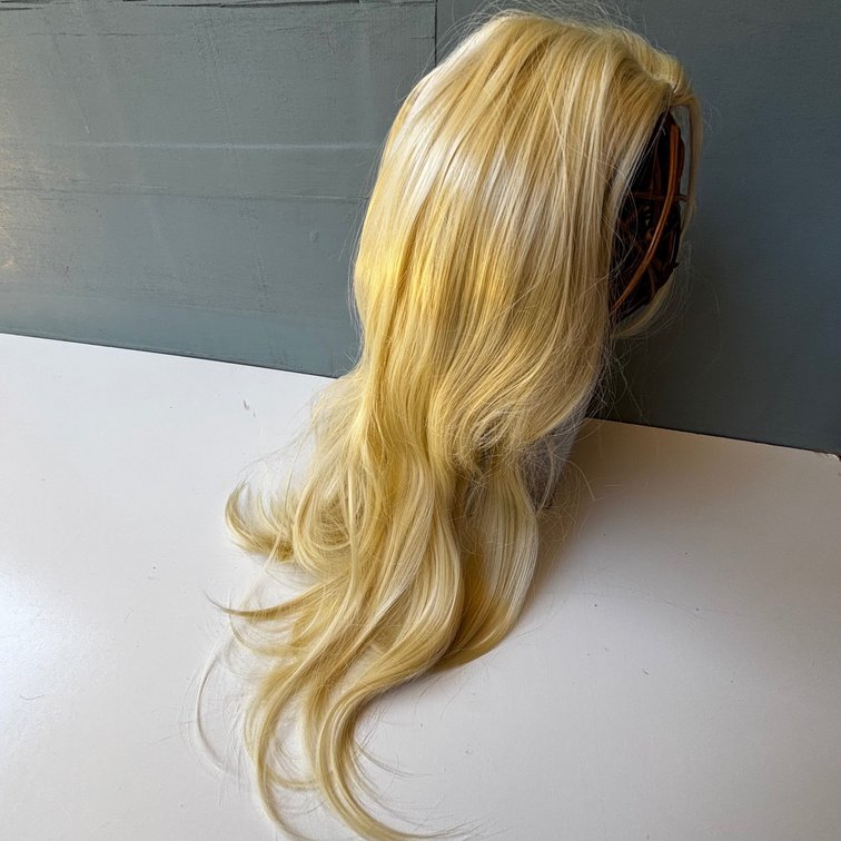 Long Blonde Wig