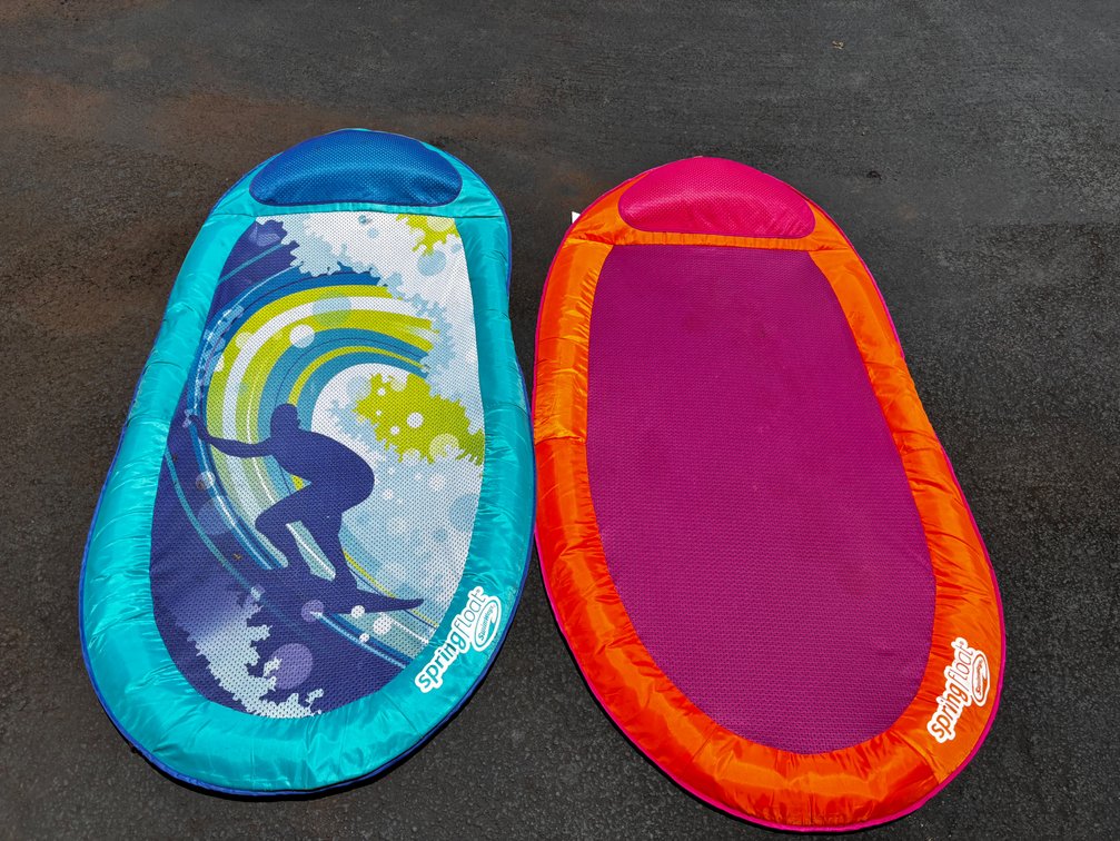 Pair of Pool Loungers