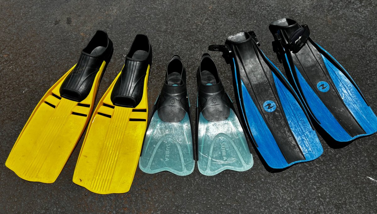 Assortment of Snorkel Scuba Fins 