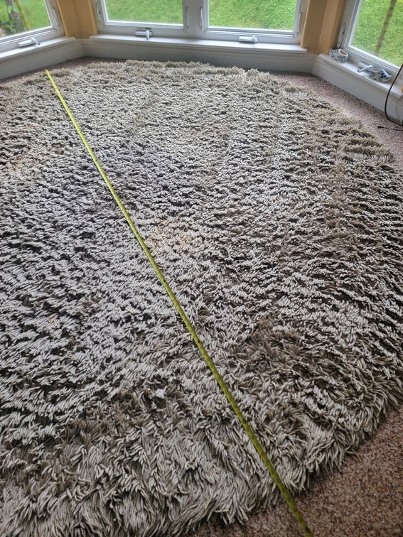Round Shag Area Rug