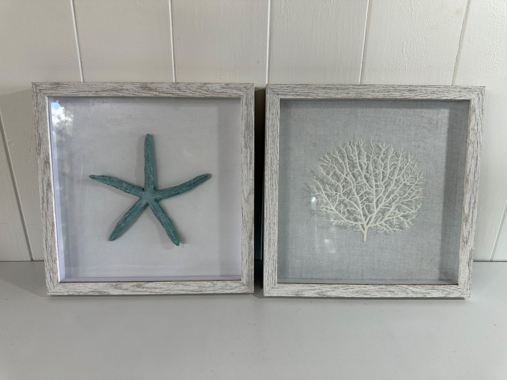 (X's 2) Shadow Box Frames – Starfish & Coral