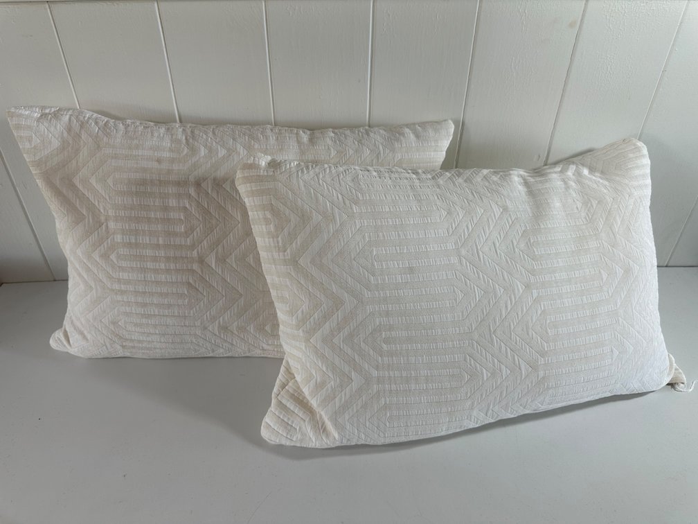 (X's 2) Down Filled Modern White Accent Pillows – Geometric Design