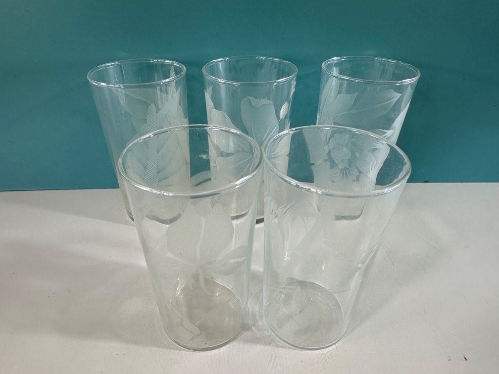 Etched Glass Tumblers – Set of 5