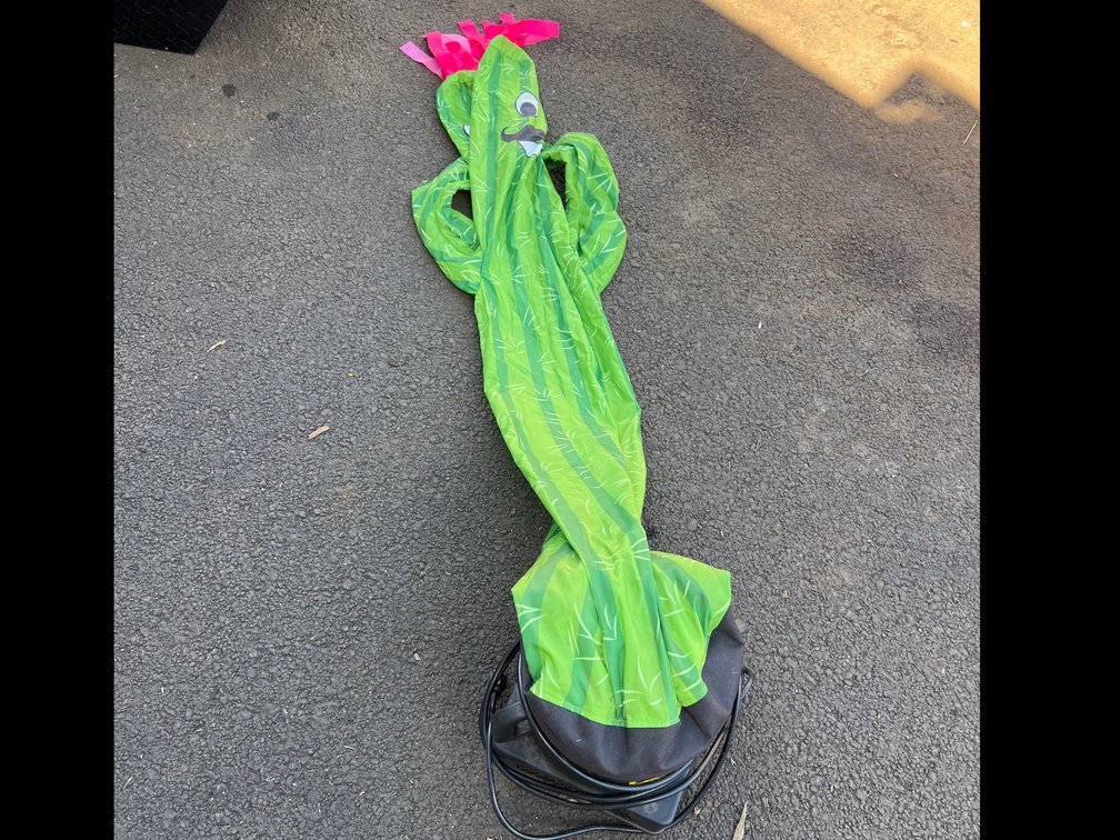Pickle inflatable 
