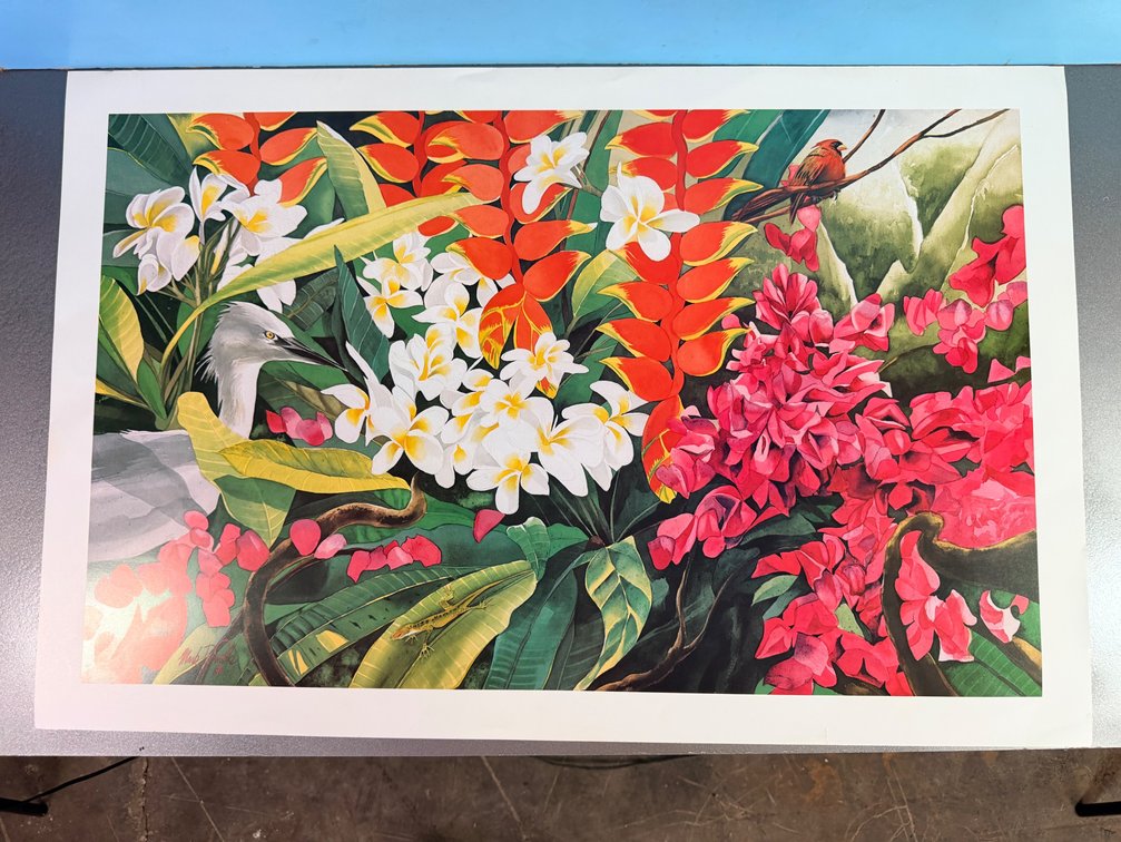 Signed Kauai Artist Mark Daniels "Garden island 1" Print
