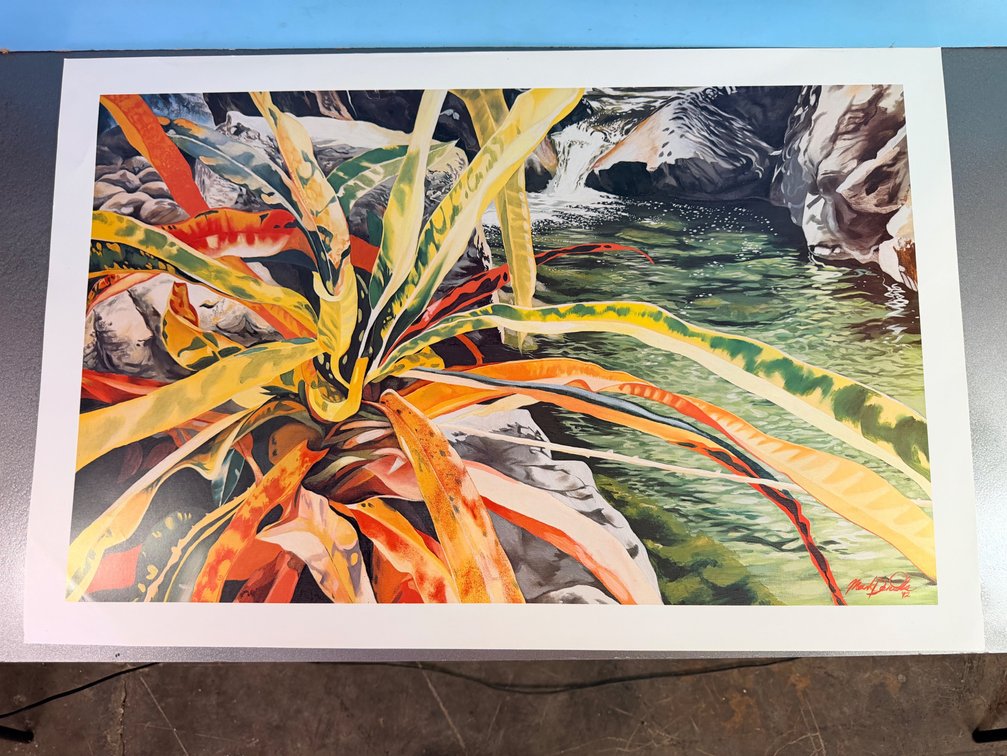 Signed Kauai Artist Mark Daniels Tropical Botanical Print