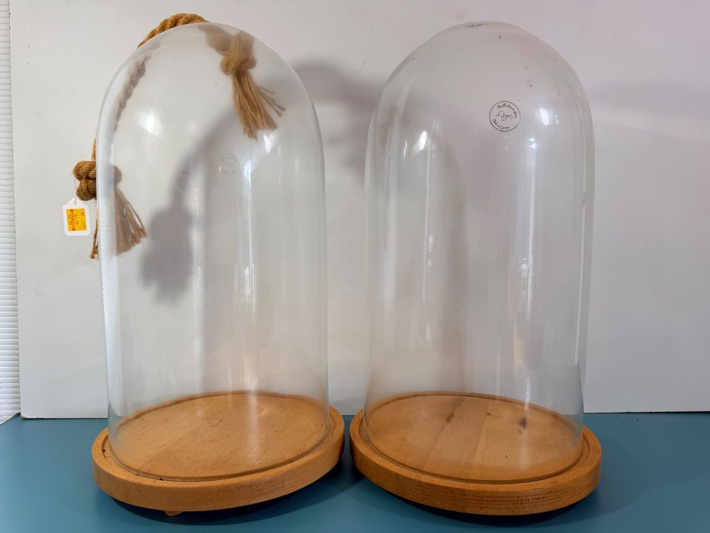 (X's 2) Mouth-Blown Glass Dome Display Cloche with Wooden Bases (Made in Europe)