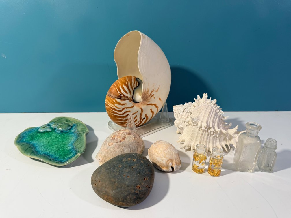 Nautical and Coastal Decor Lot Including Large Nautilus Shell